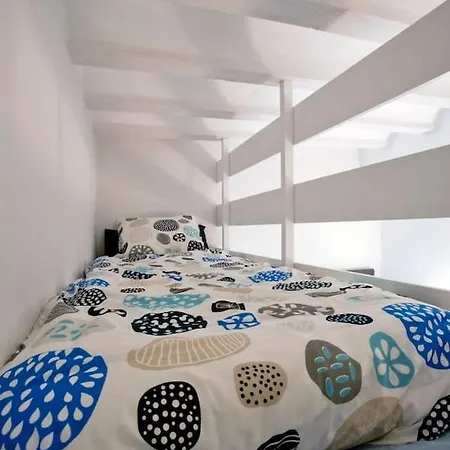 Gatu Alameda En Centro Historico Patios Privados * Кадис